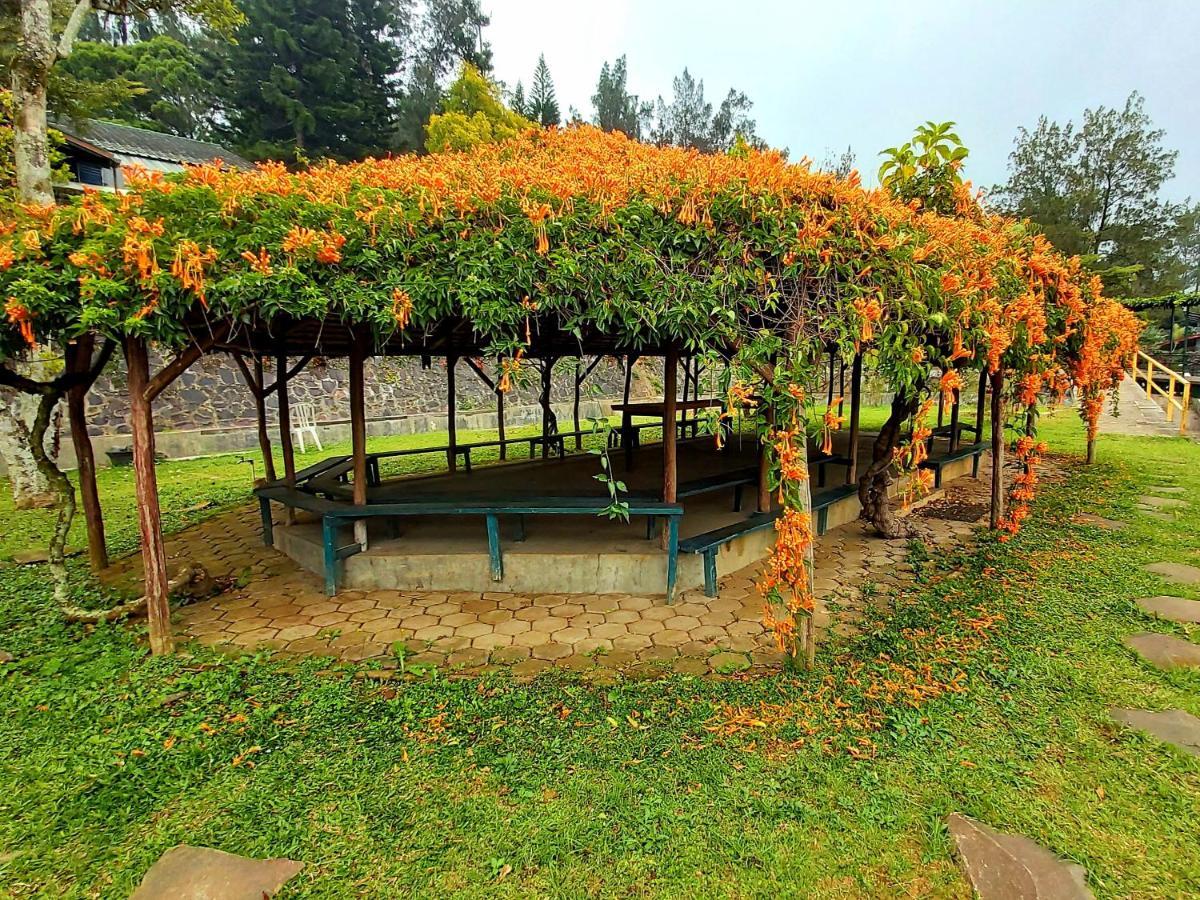 Bongkor 1Vila Kolmas 59别墅 外观 照片