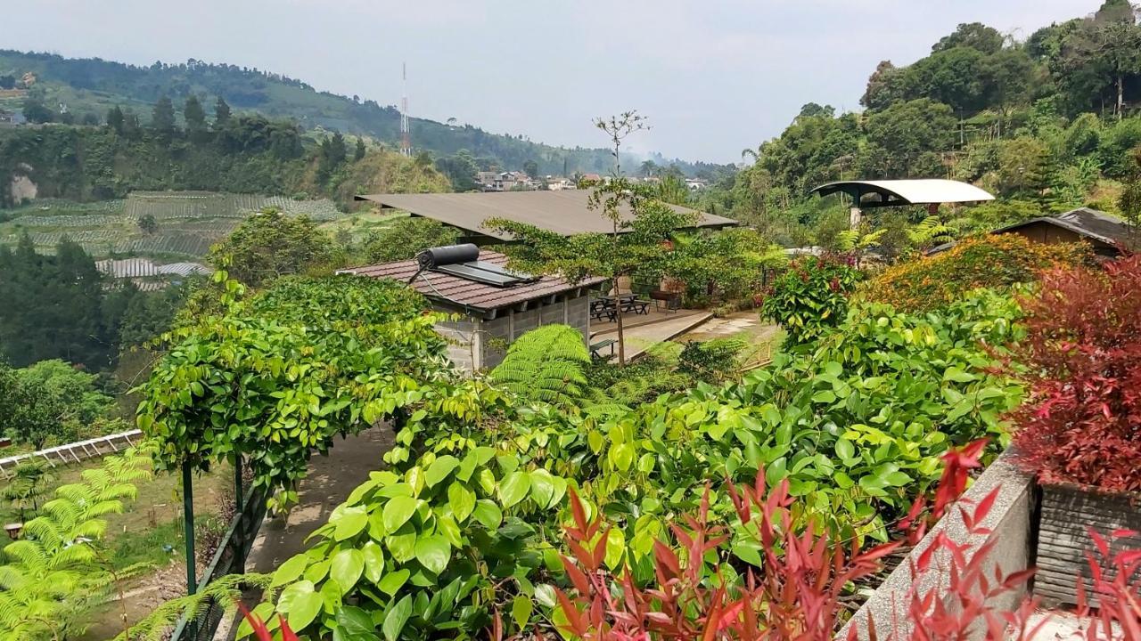 Bongkor 1Vila Kolmas 59别墅 外观 照片