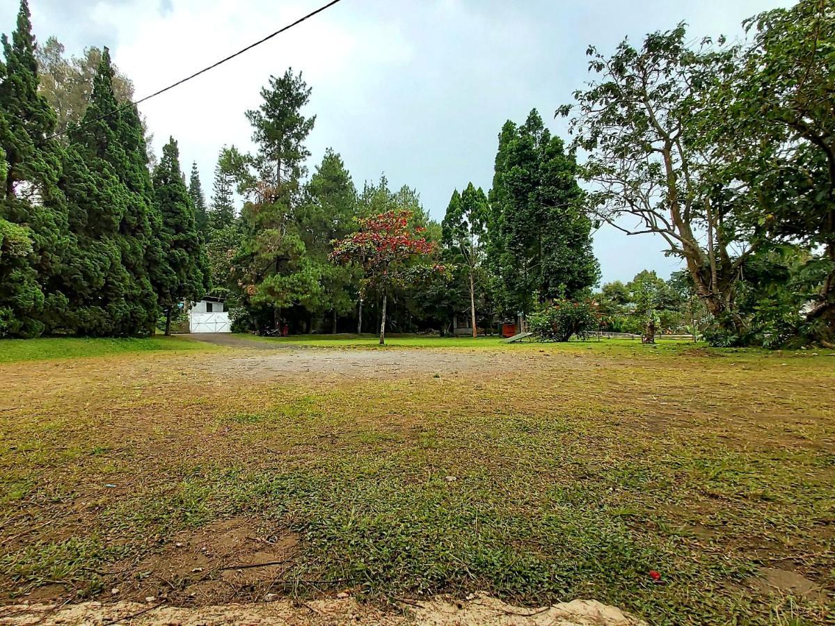 Bongkor 1Vila Kolmas 59别墅 外观 照片